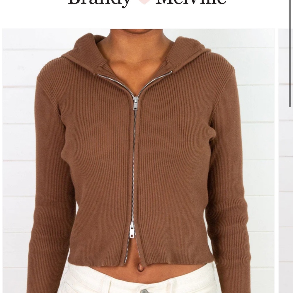 COPY - Brandy Melville Arden crop hoodie